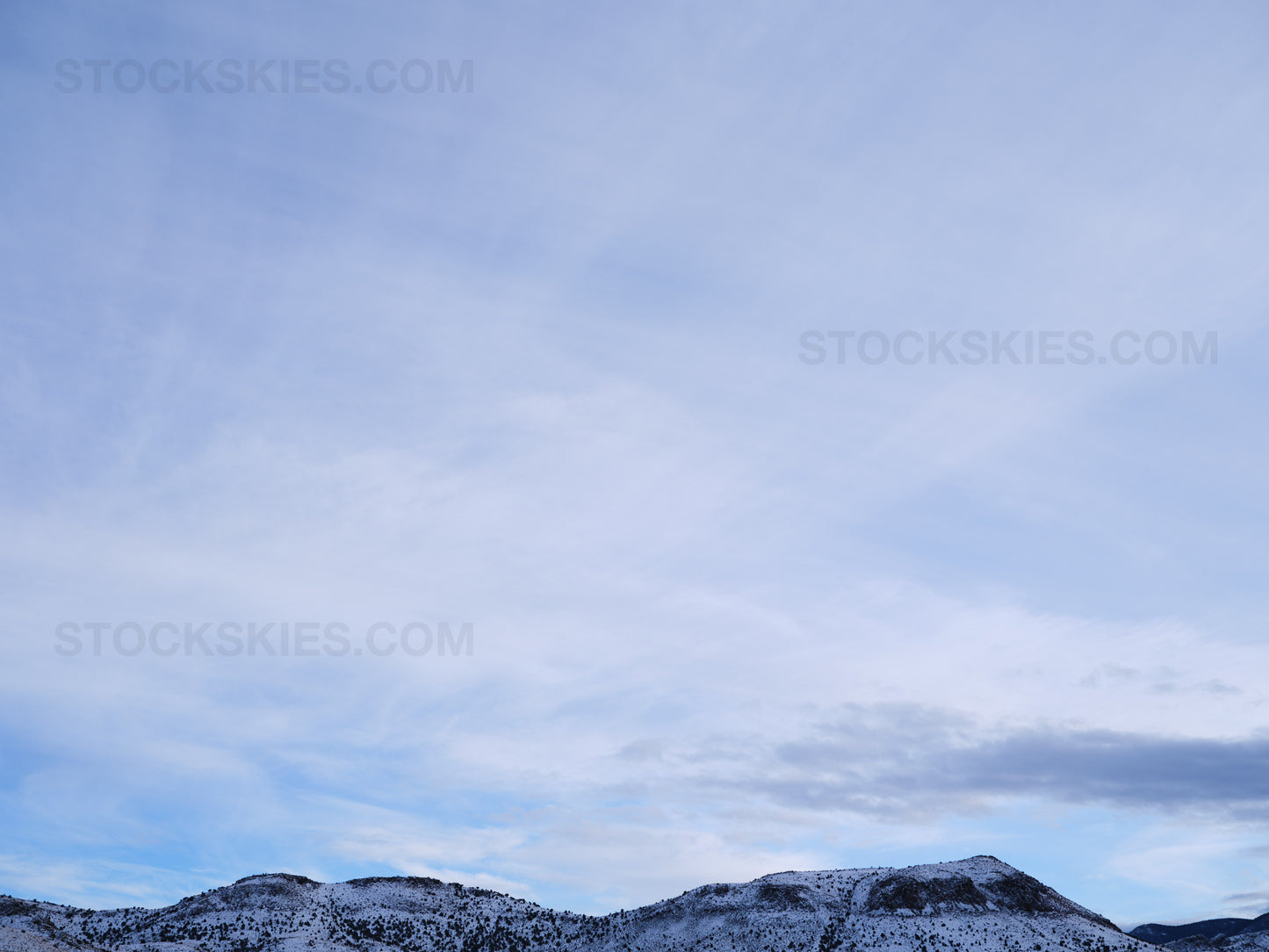 003565 Stock Skies