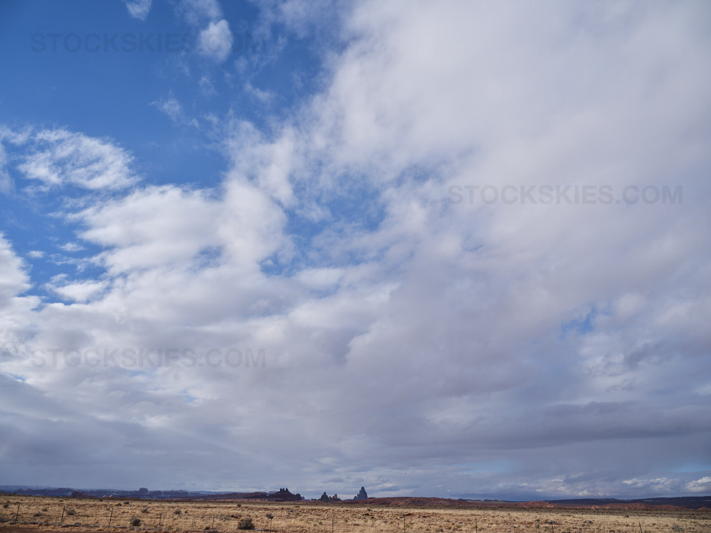 003683 Stock Skies