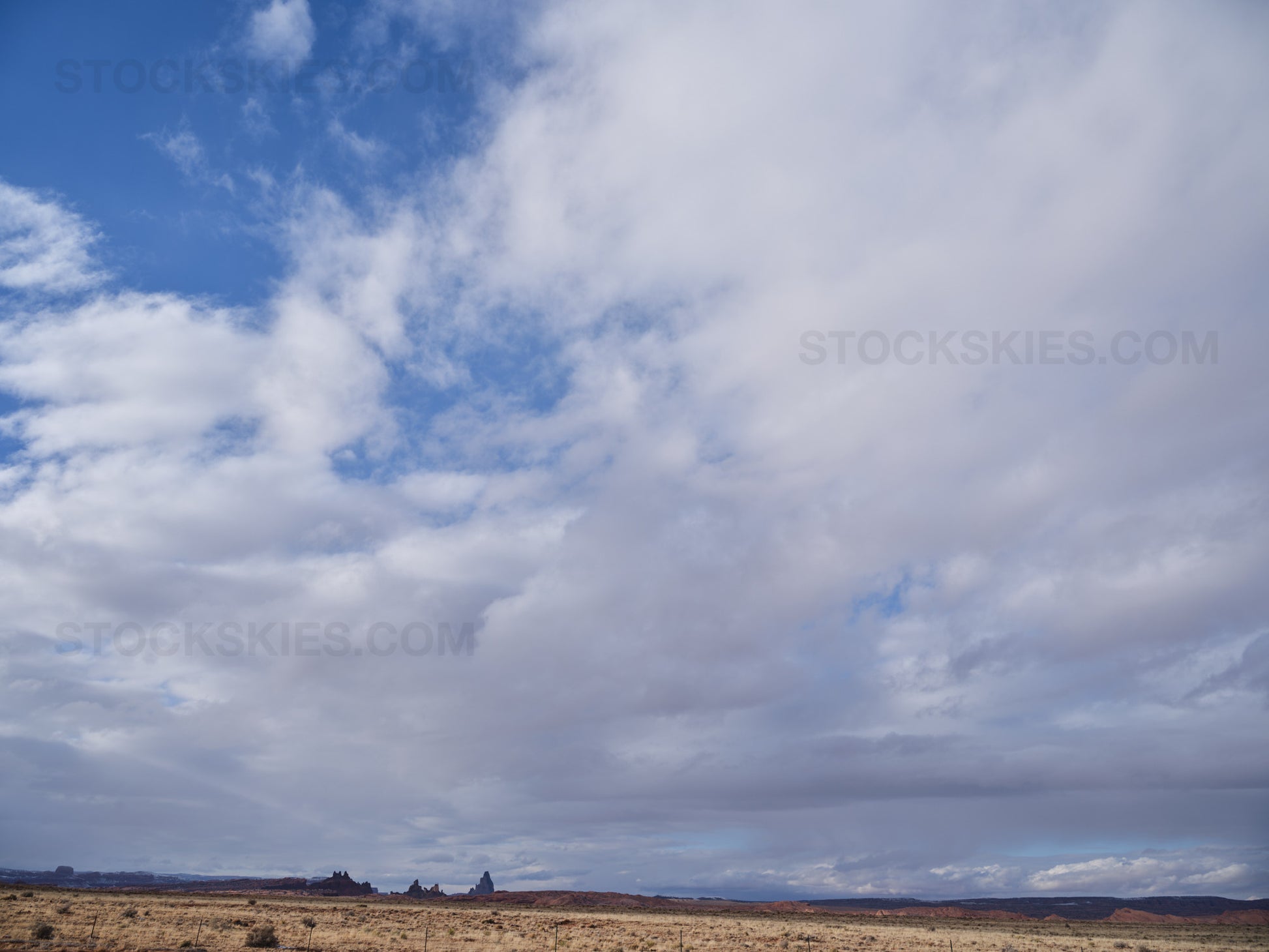 003684 Stock Skies