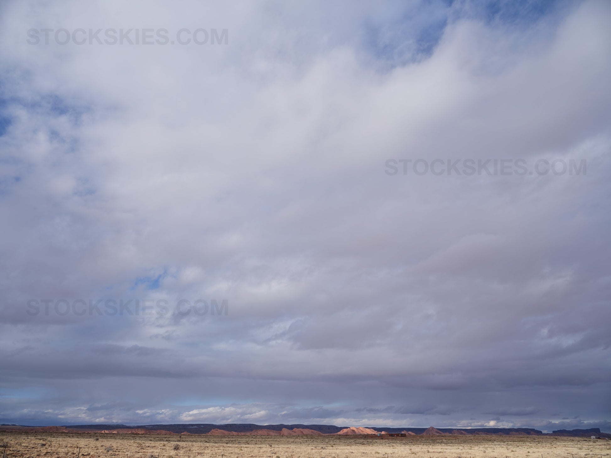 003685 Stock Skies