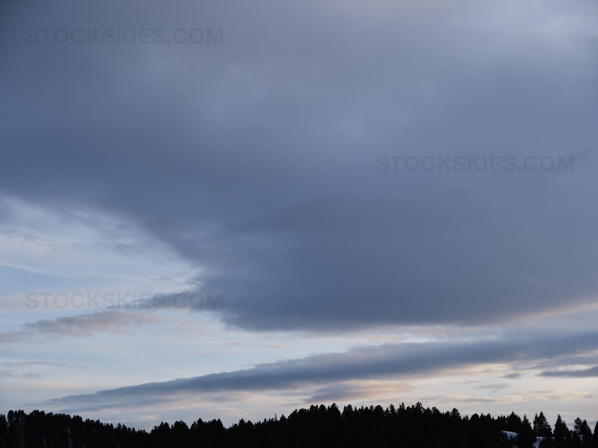 003809 Stock Skies