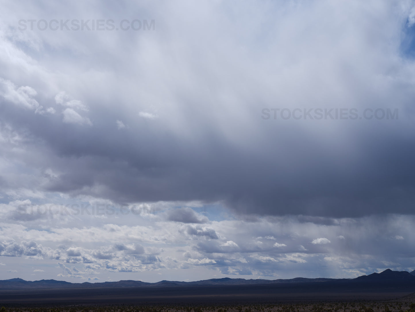 004080 Stock Skies