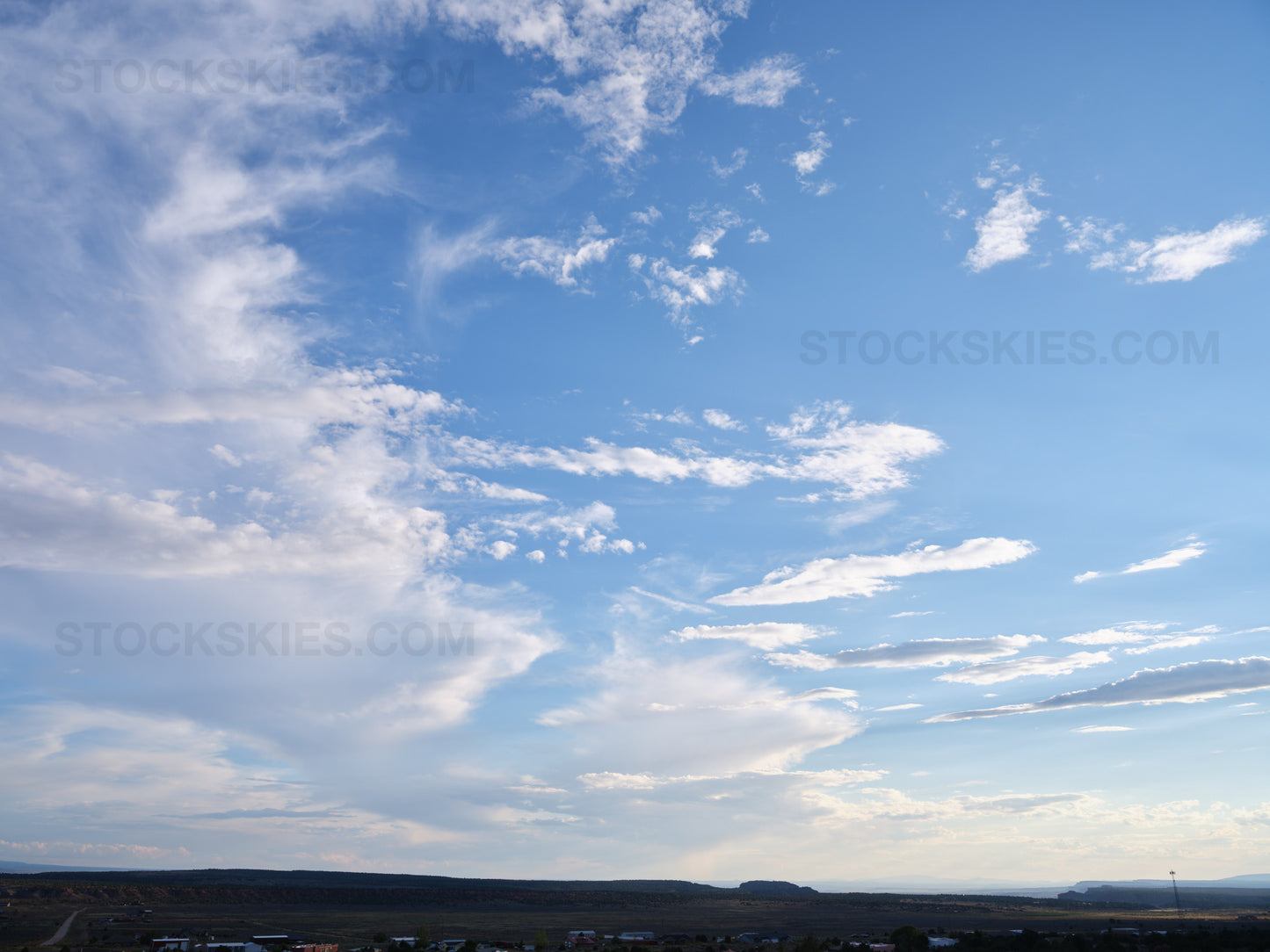 001142 Stock Skies