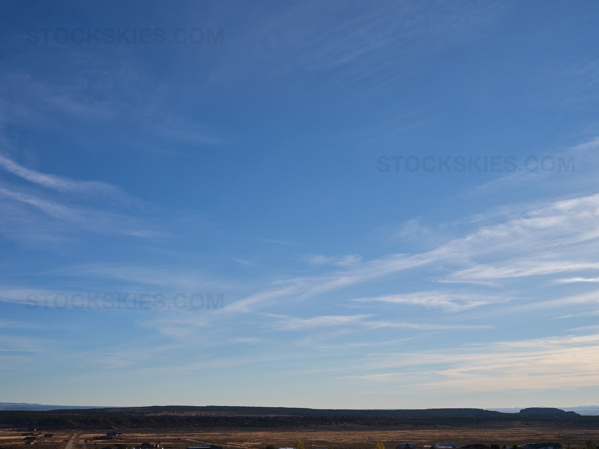 002256 Stock Skies