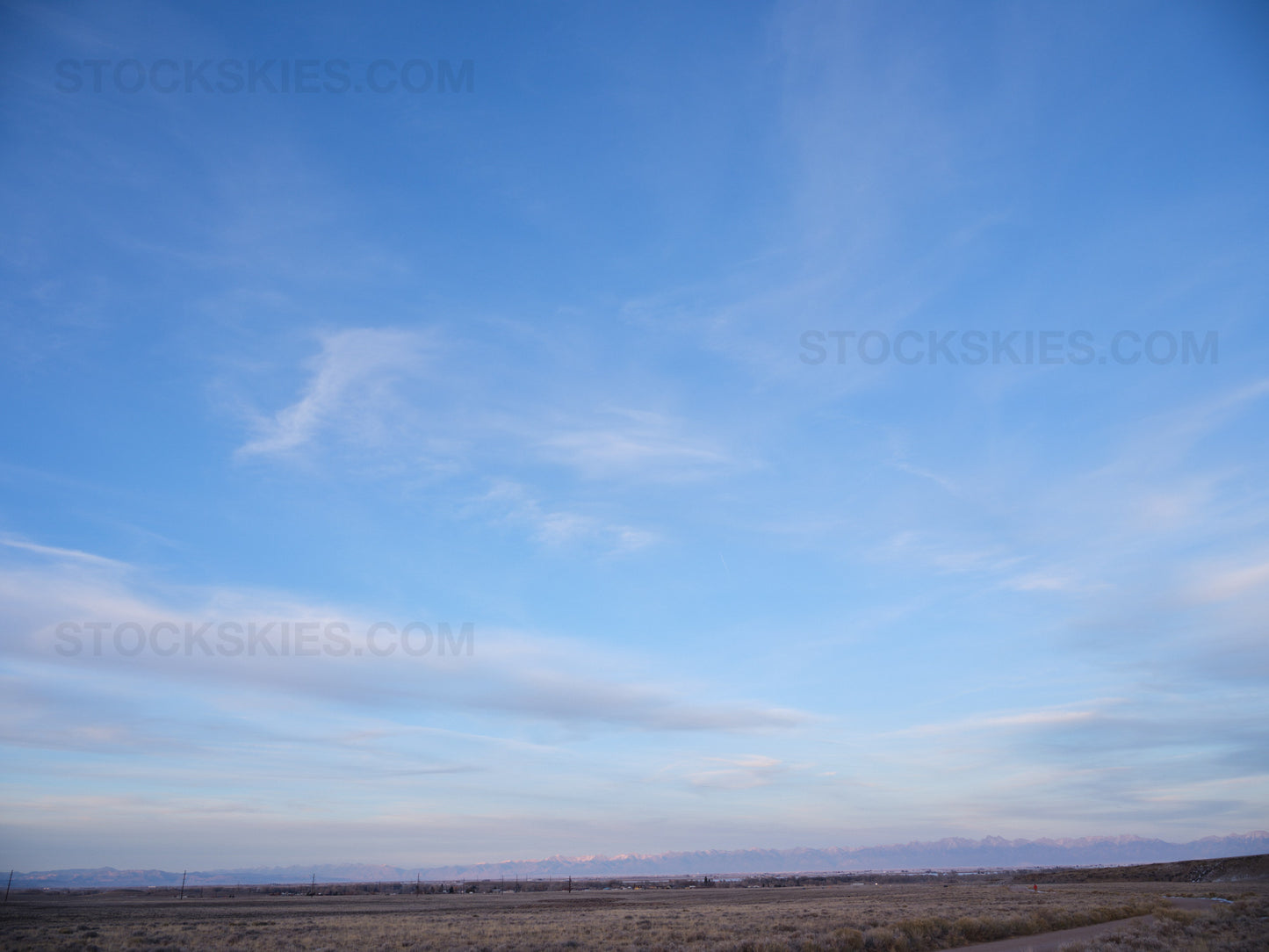 002459 Stock Skies