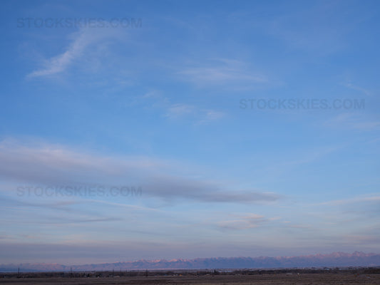 002472 Stock Skies