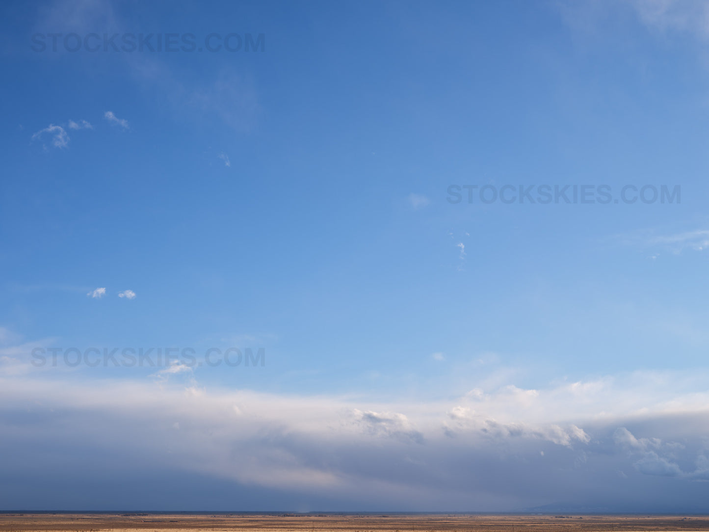 002568 Stock Skies