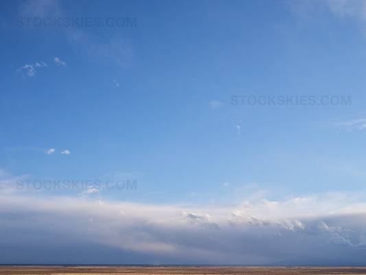 002568 Stock Skies