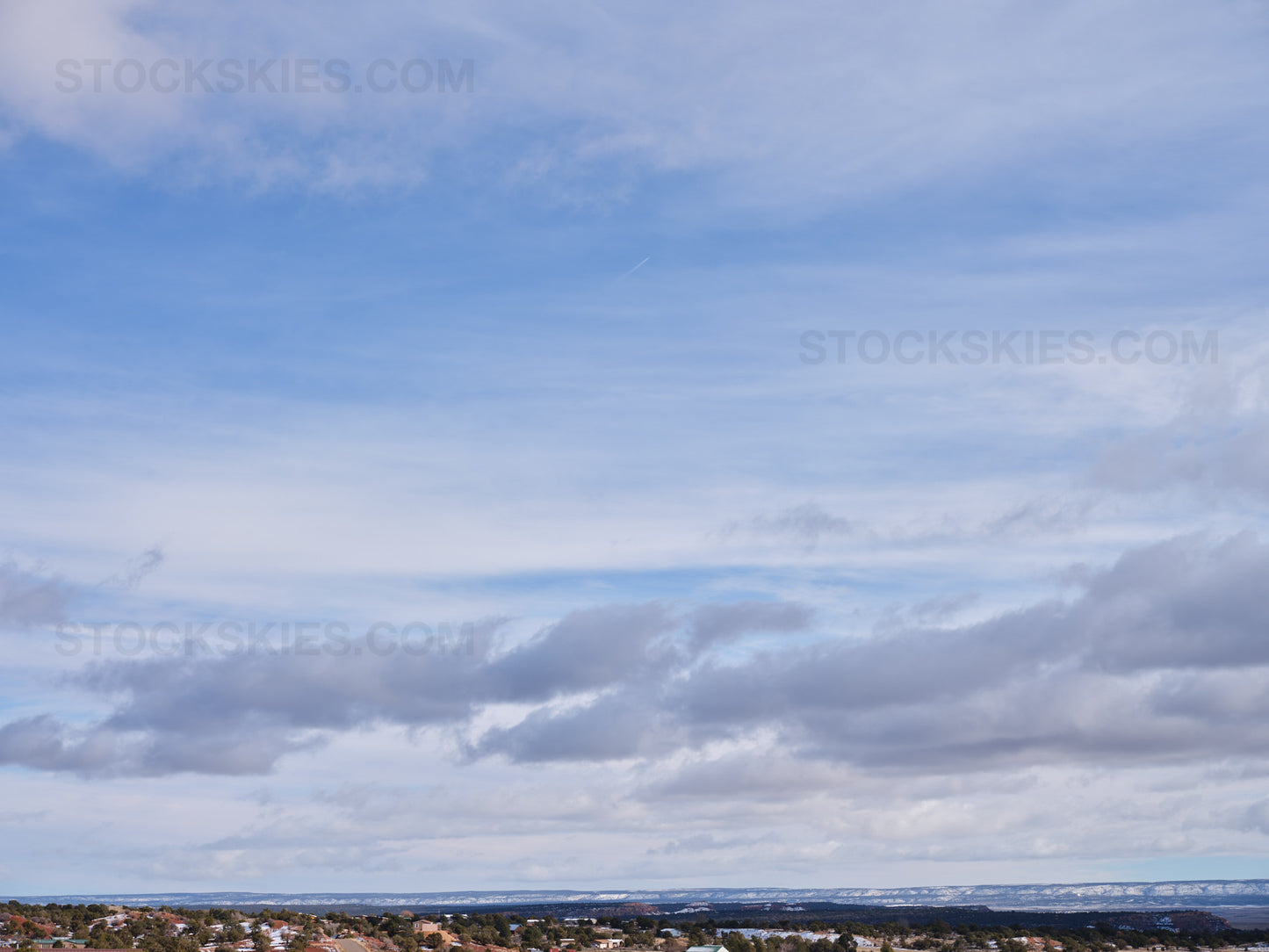 002955 Stock Skies