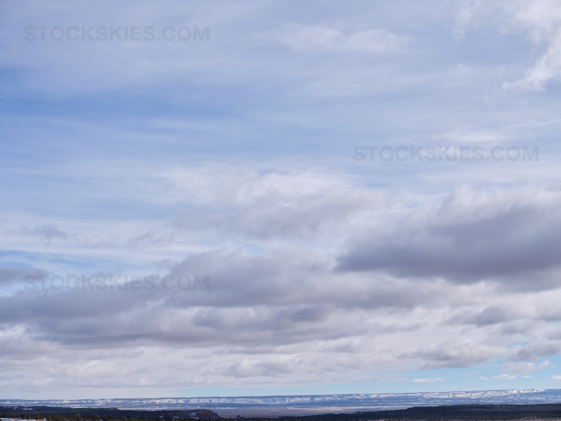 002957 Stock Skies