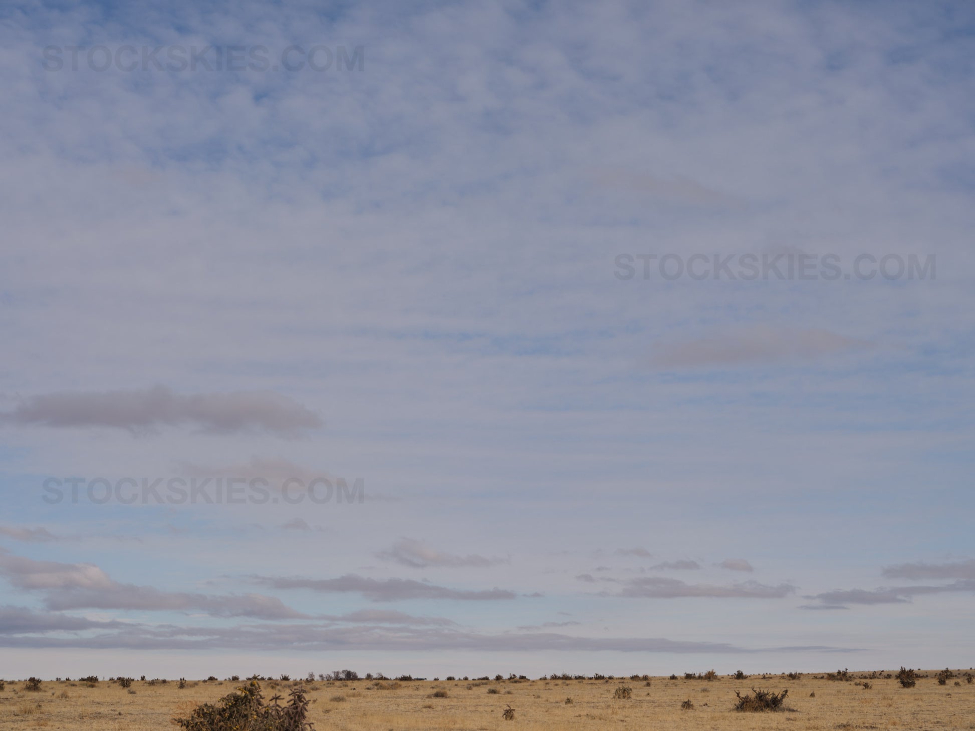 003174 Stock Skies