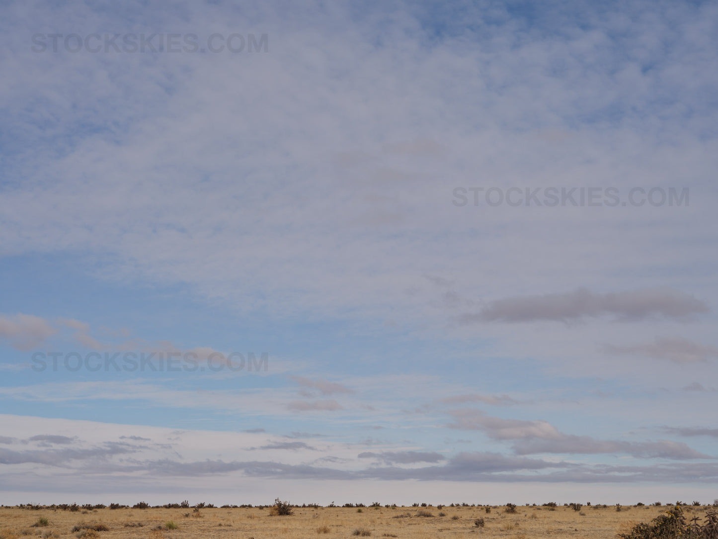 003175 Stock Skies