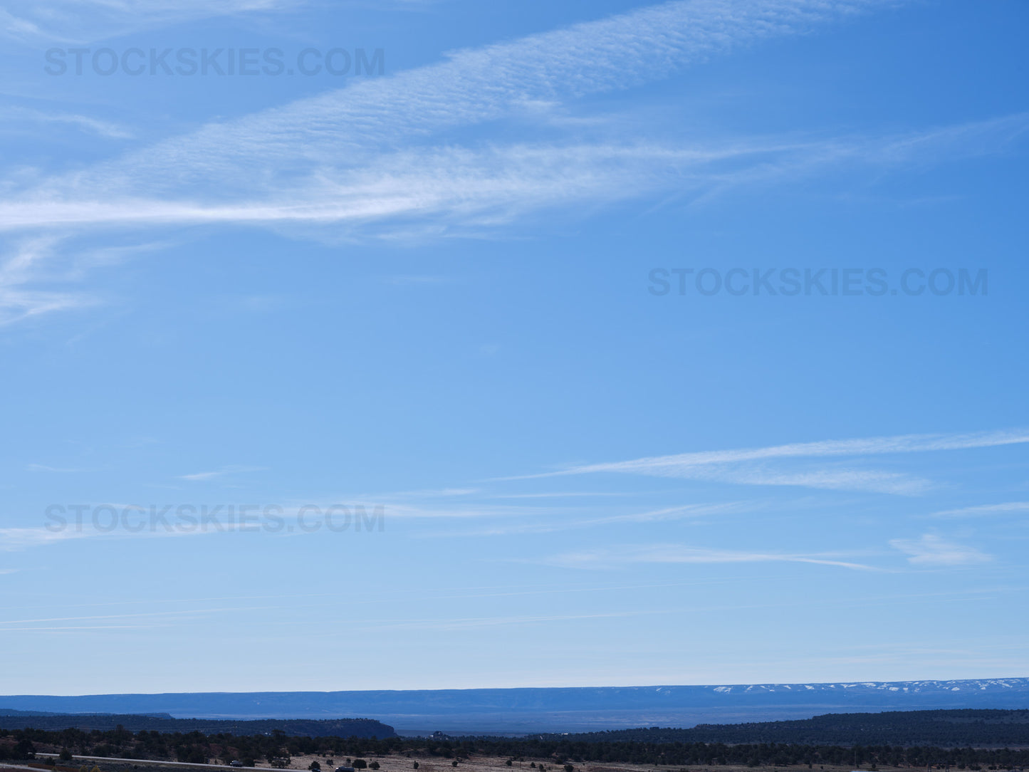 003443 Stock Skies