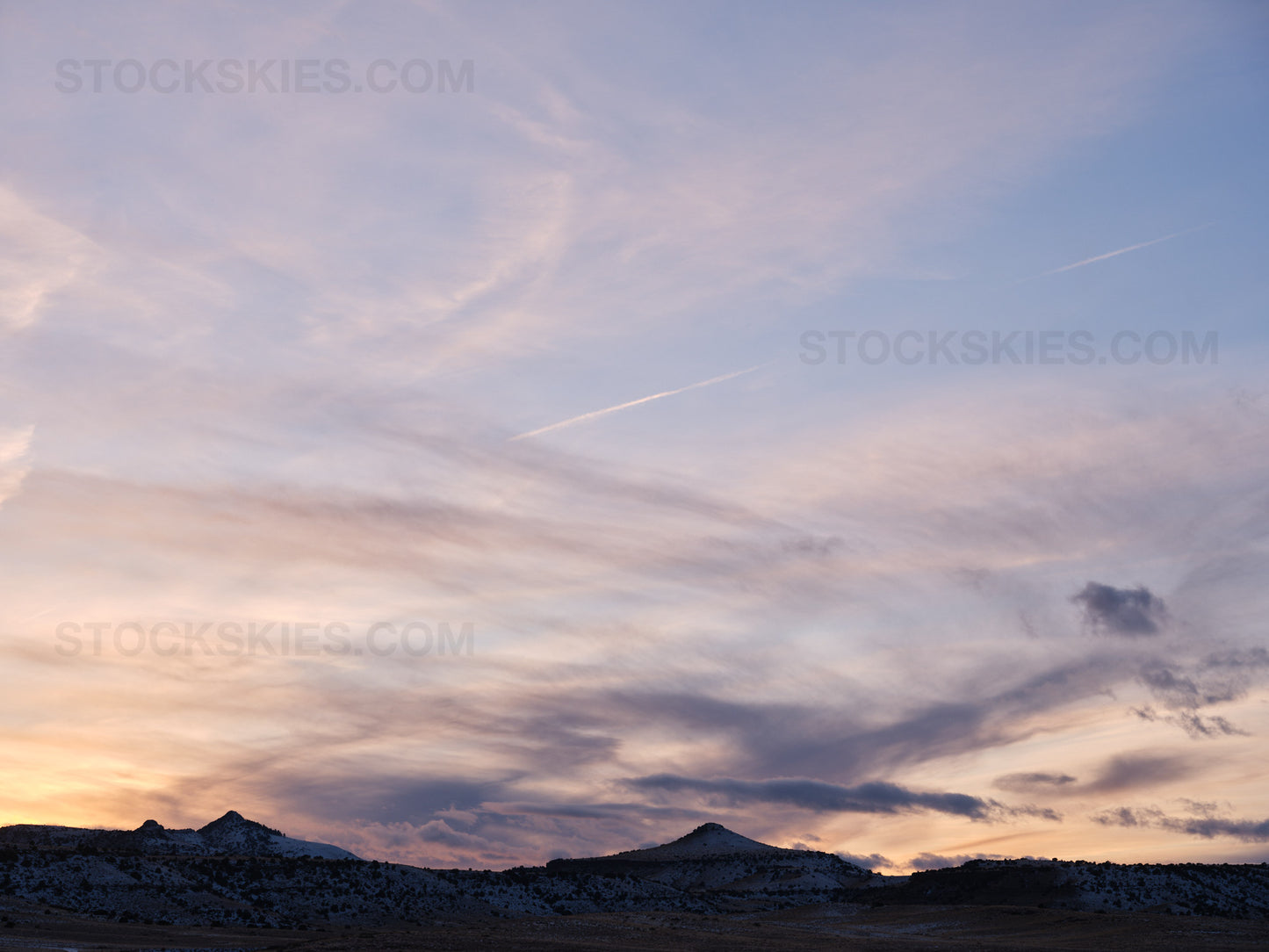 003614 Stock Skies