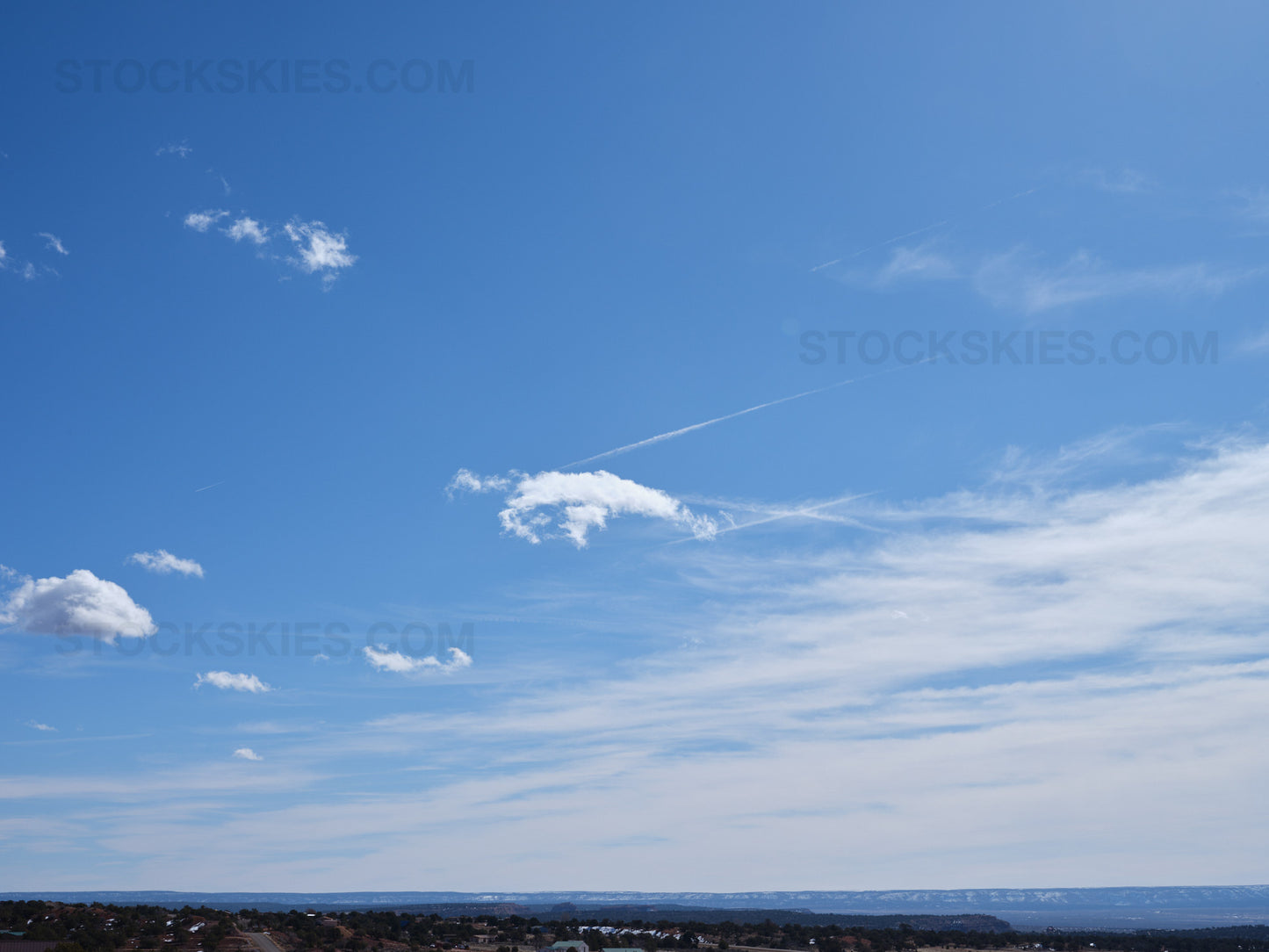 004206 Stock Skies